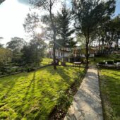 Misty Mountain Retreat | Bir Himachal Pradesh
