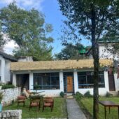 Luxury Cottage| Misty Mountain Retreat | Bir Himachal Pradesh