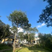 Bir Himachal Pradesh | Misty Mountain Retreat